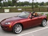 p1010149-3.jpg